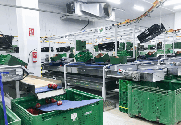 Captura de pantalla 2025-06-04 a las 17.45.53