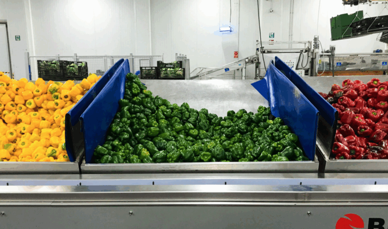 Captura de pantalla 2025-06-04 a las 17.46.10