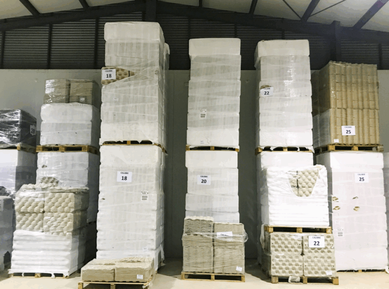 Captura de pantalla 2025-06-04 a las 17.46.54